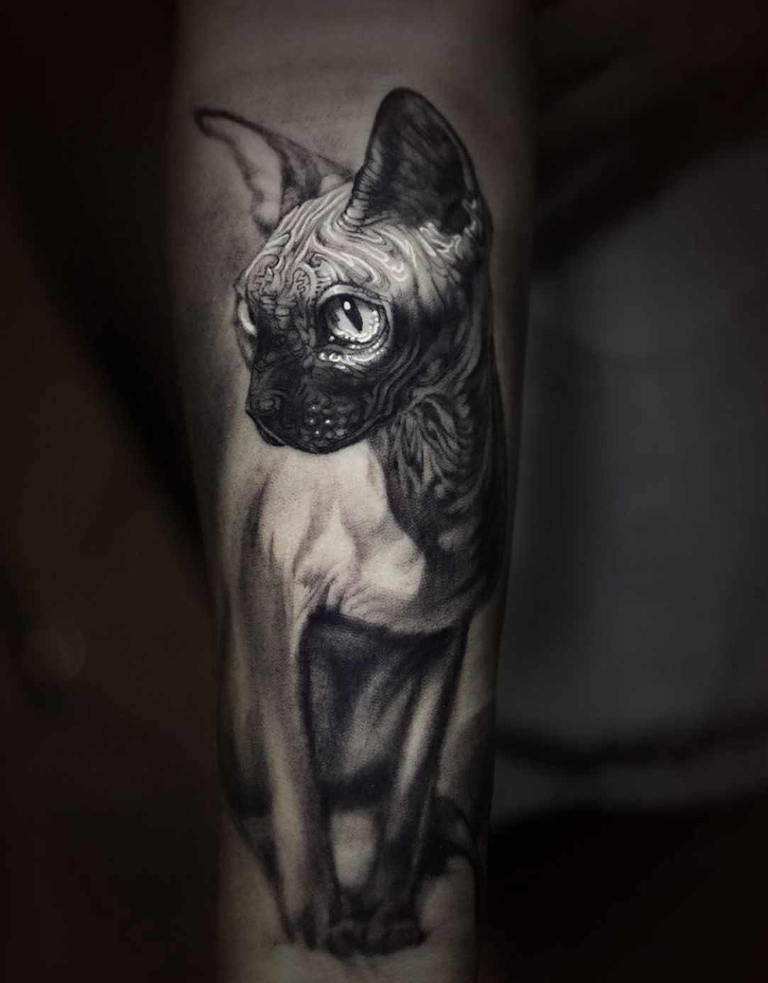 Stefano Alcantara tattoo work